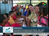 PSUV buscará conservar mayoría en la Asamblea Legislativa venezolana
