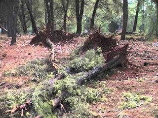 EROZIONI NE ELBASAN FENOMENI MJAFT SHQETESUES RREZON DHJETRA PEME LAJM
