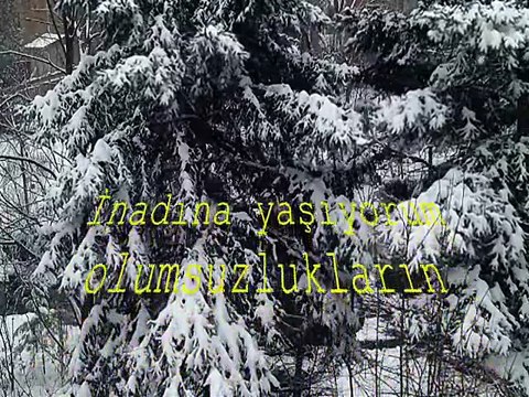 ŞİİR: BİR ANDA VE BİR YERDE (BOJİDAR ÇİPOF)