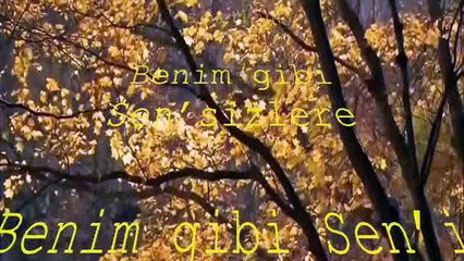 ŞİİR; SEN’SİZ (BOJİDAR ÇİPOF)