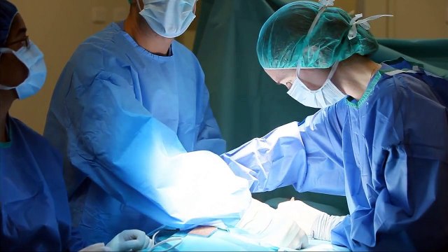 University of Melbourne & Veterinary Medicine