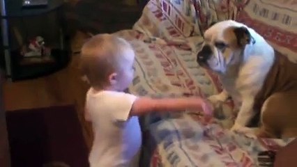 Baby Argues With Bulldog - YouTube