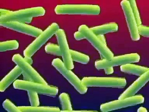 White inventions and discoveries - X Rays