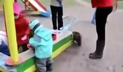 Кот охраняет детей от собаки