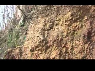 RRESHQET TOKA-FRIKE PER BANORET E NJE PALLATI TE RREZIKUAR NE KRUJE-LAJM