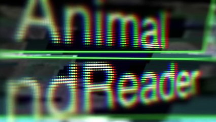 mmmglobal 100%/month