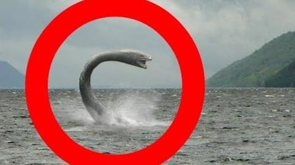 Real LOCH NESS MONSTER