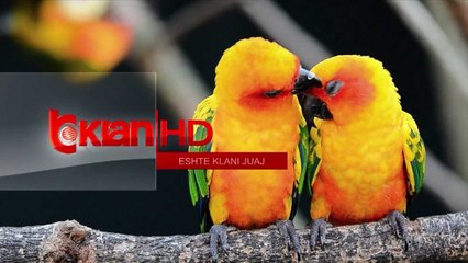 KLAN PROGRAMACION - Sot, e marte, 26 mars