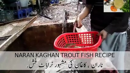 Trout Fish Recipe ( How To Cook Trout Fish )