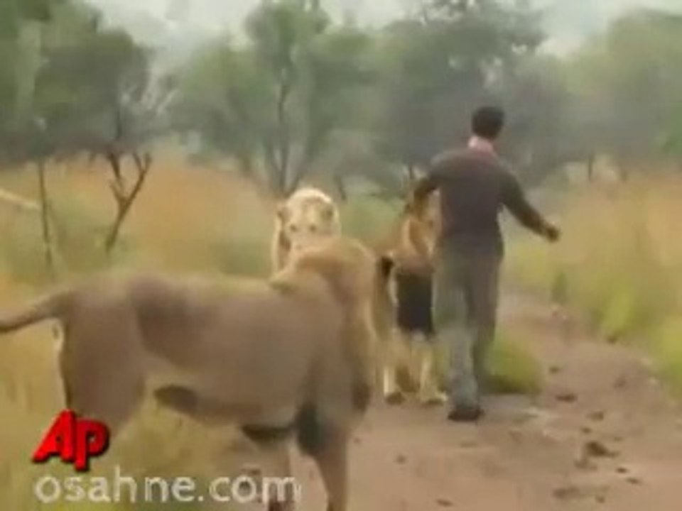 This is courage ...