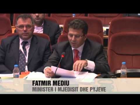 Ruajtja e pyjeve prioritet - Vizion Plus - News - Lajme