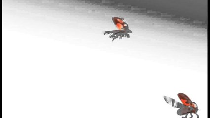 Ident Living Lady Bugs Kanali 102 ne Tring