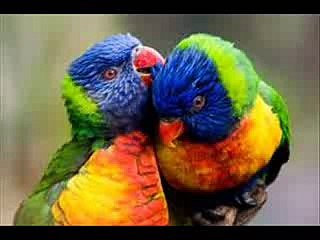 +91-9501893254 VASHIKARAN BABA IN DELHI