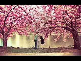 +91-9501893254 BLACK MAGIC  SPECIALIST TANTRIK  BABAJI in jalandhar
