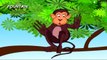 Tale Toons - The Moon And The Monkeys - Telugu  (720p)