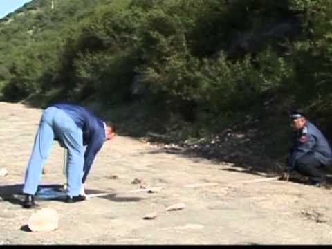 VRASJE PA FUND-EKZEKUTIME MAFIOZE NE TIRANE, LEZHE DHE NE LEKBIBAJ-LAJM