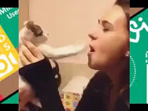 Не все коты любят целоваться