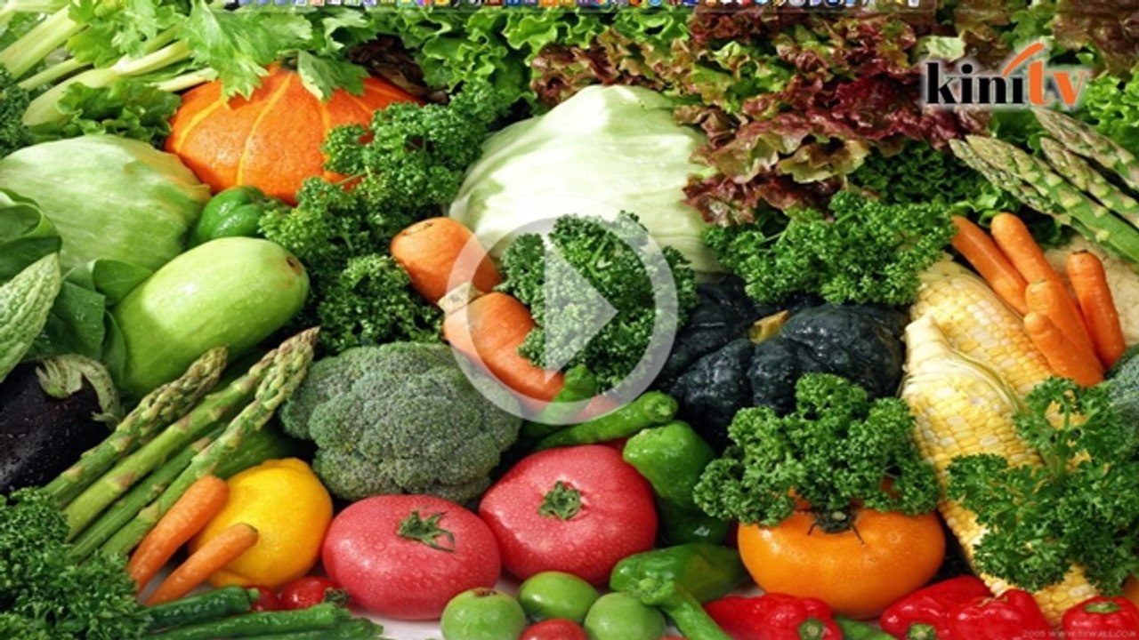 Timb Menteri: Nak jimat, tanam sayur bukan bunga