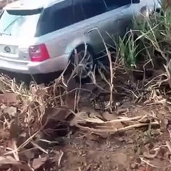 this guy saved this stuck Range Rover