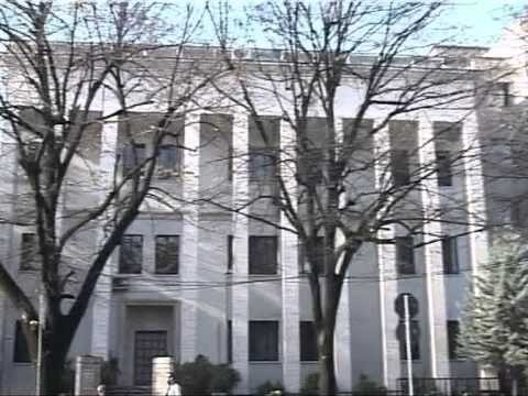 META PER TRE LIGJET-LSI APEL PD E PS TE MIRATOJNE TRE LIGJET PER TE MARRE STATUSIN-LAJM