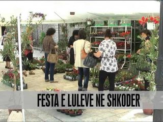 6 Maji, festa e luleve në Shkodër - Vizion Plus - News - Lajme