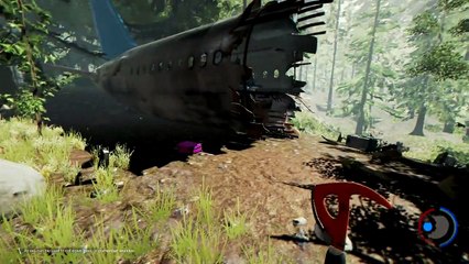 Plane Crash - The Forest - Lets Play - Part 1