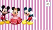 Mickey Mouse Finger Family Collection Donald Duck Finger Family Songs Nursery Rhymes