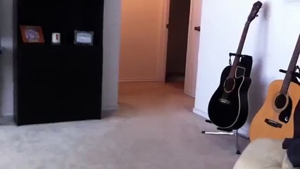 А нефиг собаку было пугать !!!