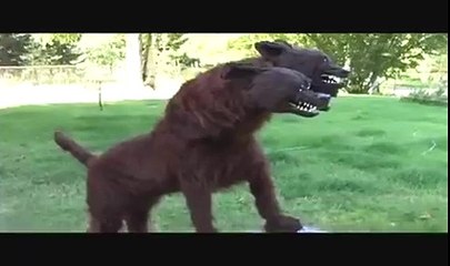 Eyes Deception or God's Miracle? Watch Yourself