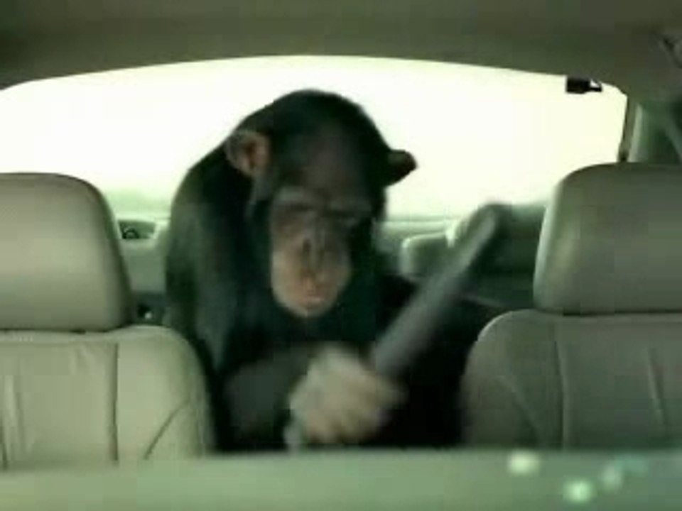 Car security