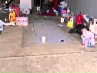 TORNADO NE OKLLAHOMA-ADOLESHENTET TREGOJNE SE SI SHPETUAN DHE FILMUAN STUHINE-LAJM