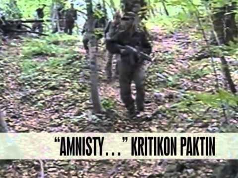 AI: Kosova ka dështuar të ndjekë krimet e luftës - Vizion Plus - News - Lajme