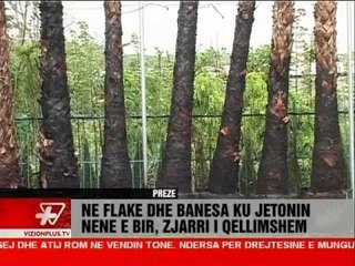 News Edition in Albanian Language - Vizion Plus - 2013 May 23 - 19:00