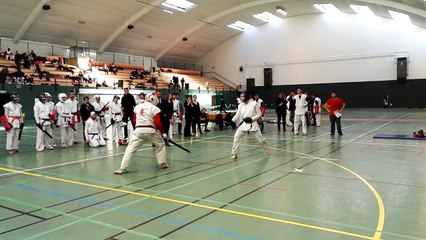 Chanbara Coupe de France 2015 - Choken Libre - Médaille d'or Daniel Talfumier