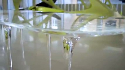 Arch2O.com - Zaha Hadid named Veuve Clicquot business woman