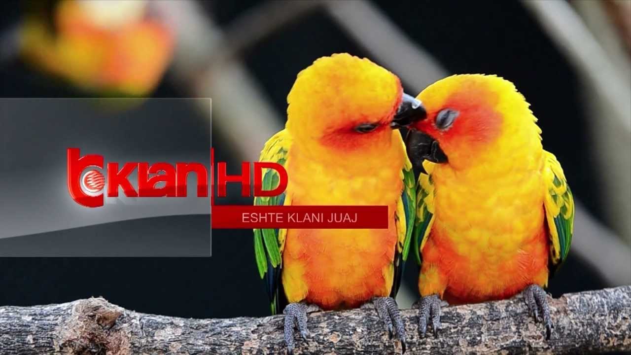 Klan Sot - Programi (1 qershor 2013)