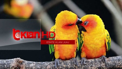 Klan Sot - Programi (1 qershor 2013)