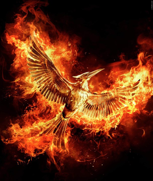 Die Tribute Von Panem Story in 13 Minuten! (deutsch)