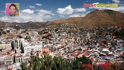 トリハダ　命つなぐ奇跡の救出劇