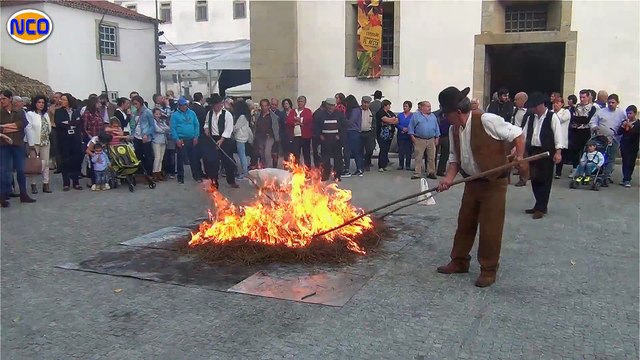 Rancho Folclórico da Casa do Povo de Arouca magusto
