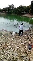 Des poissons s'échouent littéralement pour venir manger
