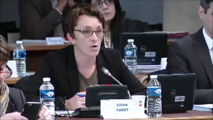 Céline TONOT. Débat d'orientations budgétaires. 23 novembre 2015.