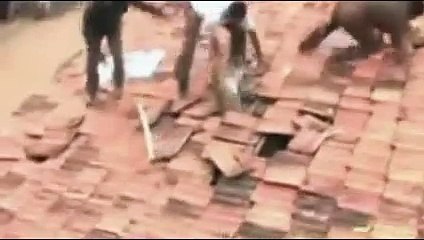 Exclusive - Tiger attacks People in a small village in India