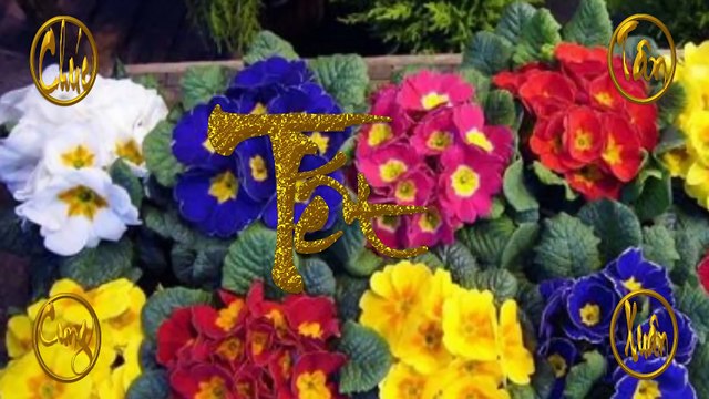 Nhạc Xuân 2016 Nhạc Tết Bính Thân Nhạc Xuân Sôi Động DJ Remix Nonstop Xuân 2016.