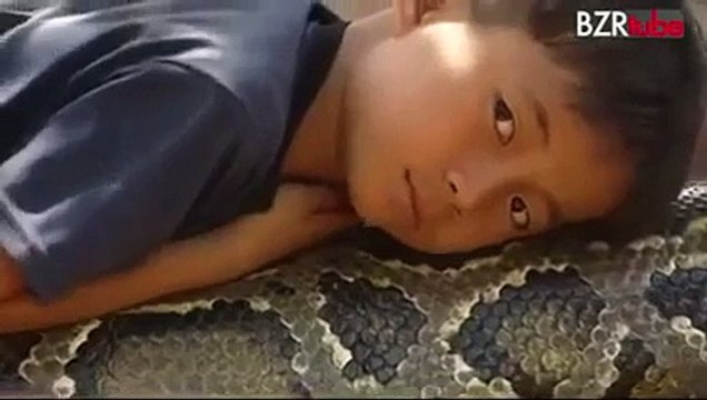 Python snake pet kid rides giant python