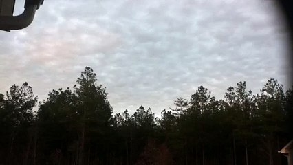 z57 presents Clouds to Trees