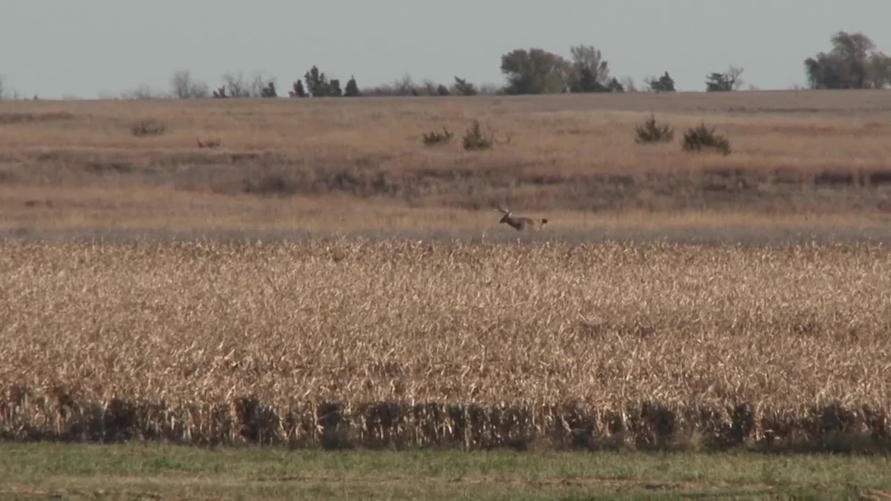 Lockdown on the Plains