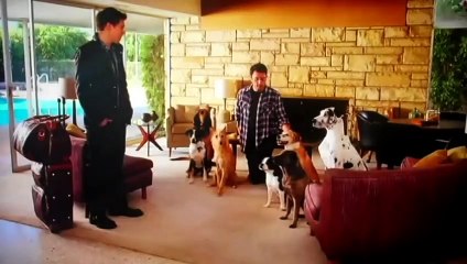 Bud Light: Alışılmışın Dışında