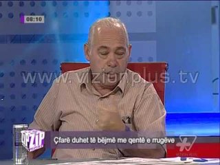 Zgjidhje per qente e rrugeve - Zip 5 Korrik 2013 Pj.2 - Vizion Plus - Informacion