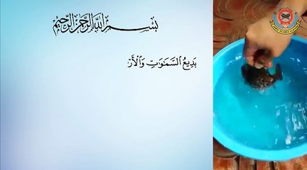اللہ کے سوا ایسی تخلیق کون کر سکتاہے؟ بے شک کوئی نہیں۔